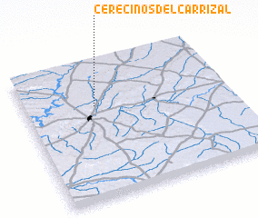 3d view of Cerecinos del Carrizal