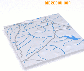 3d view of Dibrédouhoin