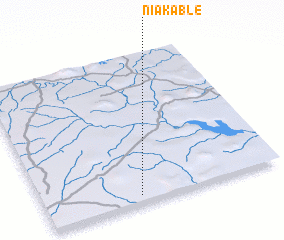 3d view of Niakablé