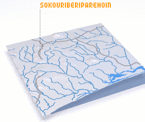 3d view of Sokouribériparéhoin
