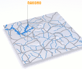 3d view of Nakomo