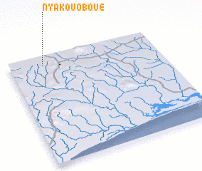 3d view of Nyakouoboué