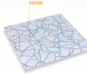 3d view of Pinyon