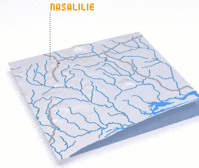 3d view of Nasalilié