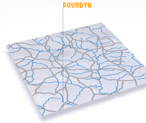 3d view of Poundya