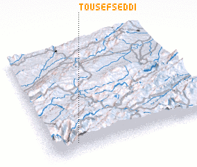 3d view of Tousefseddi