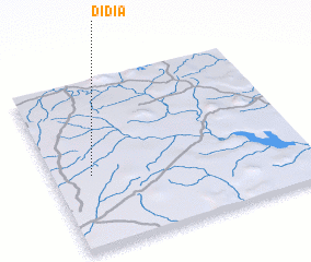 3d view of Didia