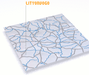 3d view of Lityonvogo