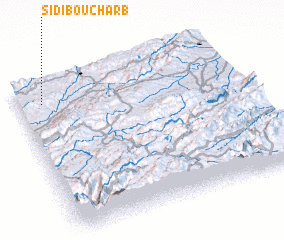 3d view of Sidi Bouch‘arb