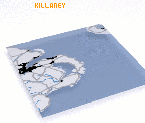 3d view of Killaney