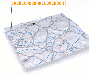 3d view of Souk el Arbaa de lʼOued Beht