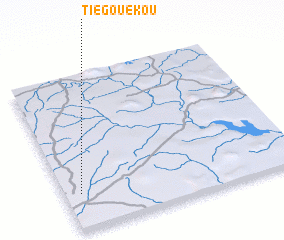 3d view of Tiégouékou