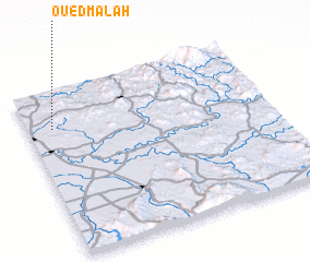 3d view of Oued Malah