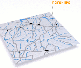 3d view of Nacamura