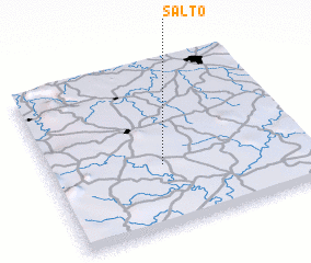 3d view of Salto