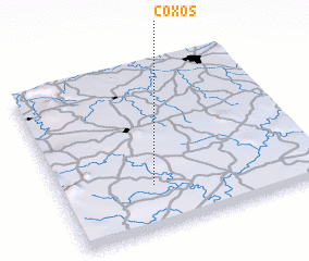 3d view of Coxos