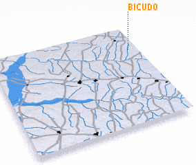 3d view of Bicudo