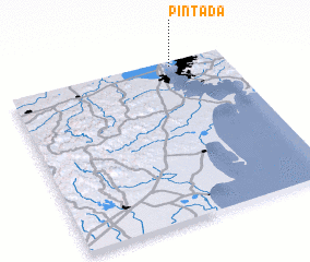 3d view of Pintada