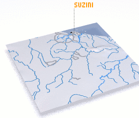 3d view of Suzini