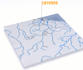 3d view of Cayenne