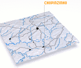 3d view of Chopinzinho