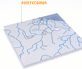 3d view of Pointe Caïman