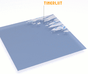 3d view of Timerliit