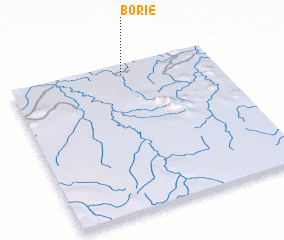 3d view of Borie