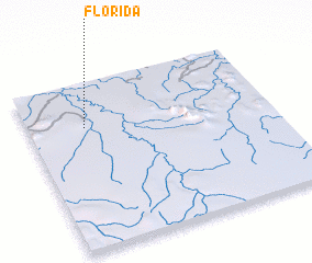 3d view of Florida