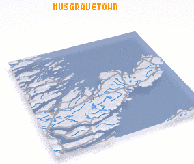 3d view of Musgrave Town