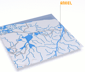 3d view of Ankel