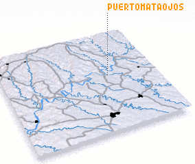 3d view of Puerto Mata Ojos