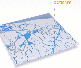 3d view of Patience