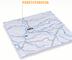 3d view of Puerto Torocuá