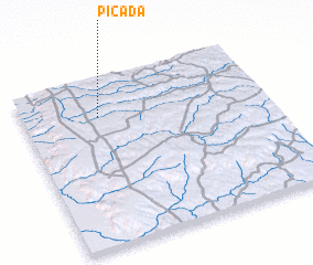 3d view of Picada