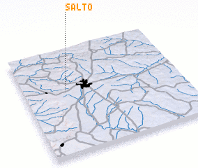 3d view of Salto