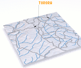 3d view of Tororá