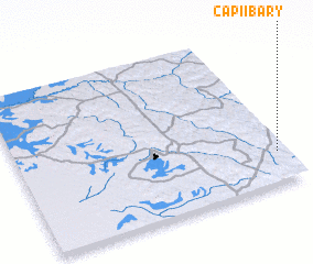 3d view of Capiíbary