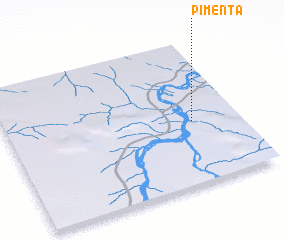 3d view of Pimenta