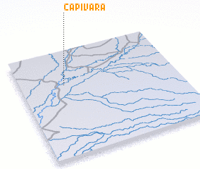 3d view of Capivara
