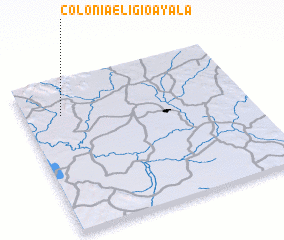 3d view of Colonia Eligio Ayala