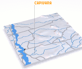 3d view of Capivara