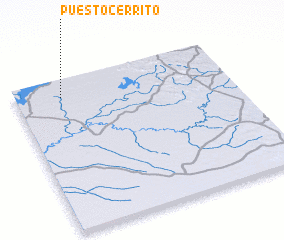 3d view of Puesto Cerrito