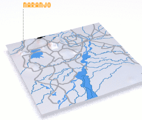 3d view of Naranjo