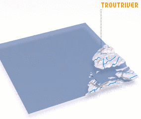 3d view of Trout River