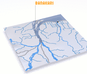 3d view of Banakari