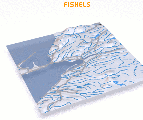 3d view of Fishels