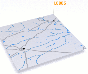 3d view of Lobos