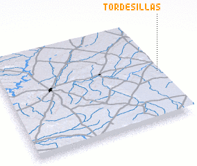 3d view of Tordesillas