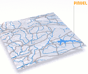 3d view of Piñuel